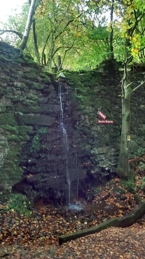 Hallerblick مونشاو المظهر الخارجي الصورة